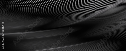 Obraz na plátně Abstract Black and White Wavy Line Pattern, Monochromatic Topographic Contour Te