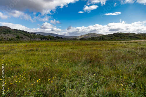 Quadro su tela Ring of Kerry Landscape