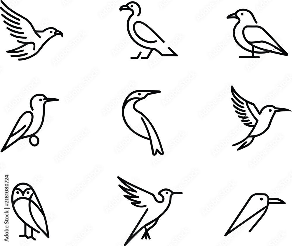 Obraz premium Minimalist bird outline icon collection bundle featuring eagle hummingbird owl seagull and heron line art logo design elements