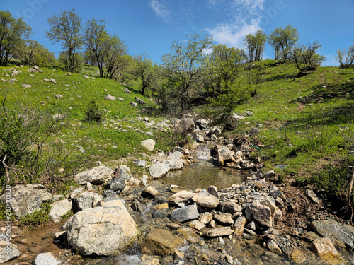 Fotografie Clear flowing stream winds down a rocky streambed between lush green hillsides, framed by trees under a bright blue spring sky