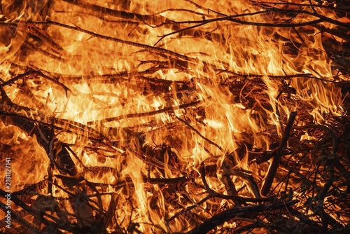 Dry branches burn in intense, blazing flames, fire, Finland