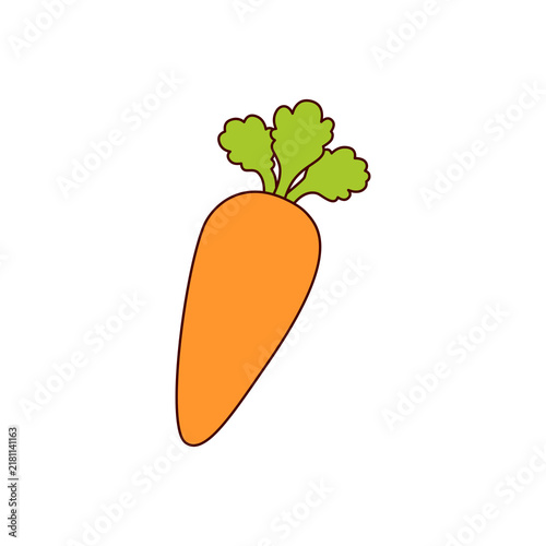 carrot vector illustration