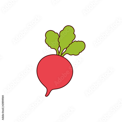 red apple with green leaves