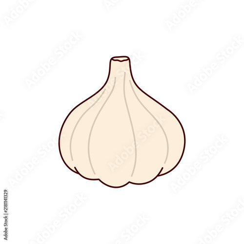 garlic isolated on white background