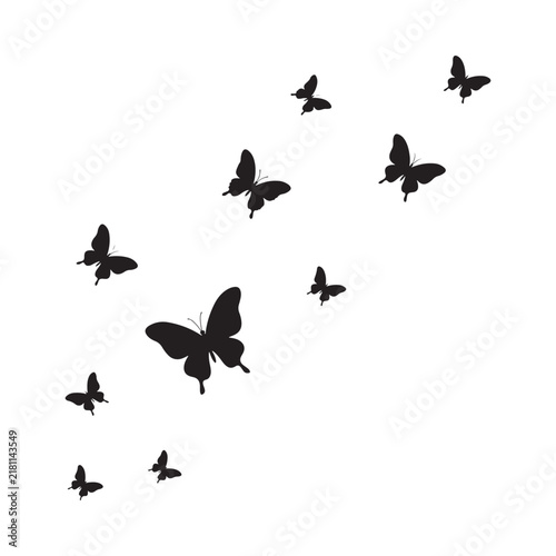 Butterfly silhouettes on a white background simple graphic design