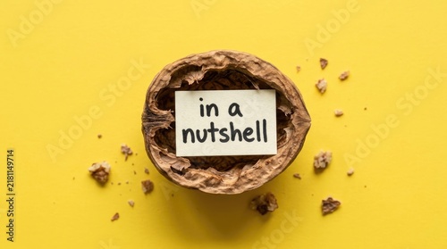 Plakat Empty brown walnut shell containing a paper note with the idiom in a nutshell written clearly