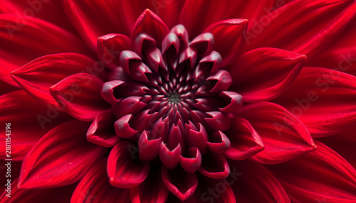 Macro shot of a vibrant red dahlia flower with intricate petal patterns and symmetry.