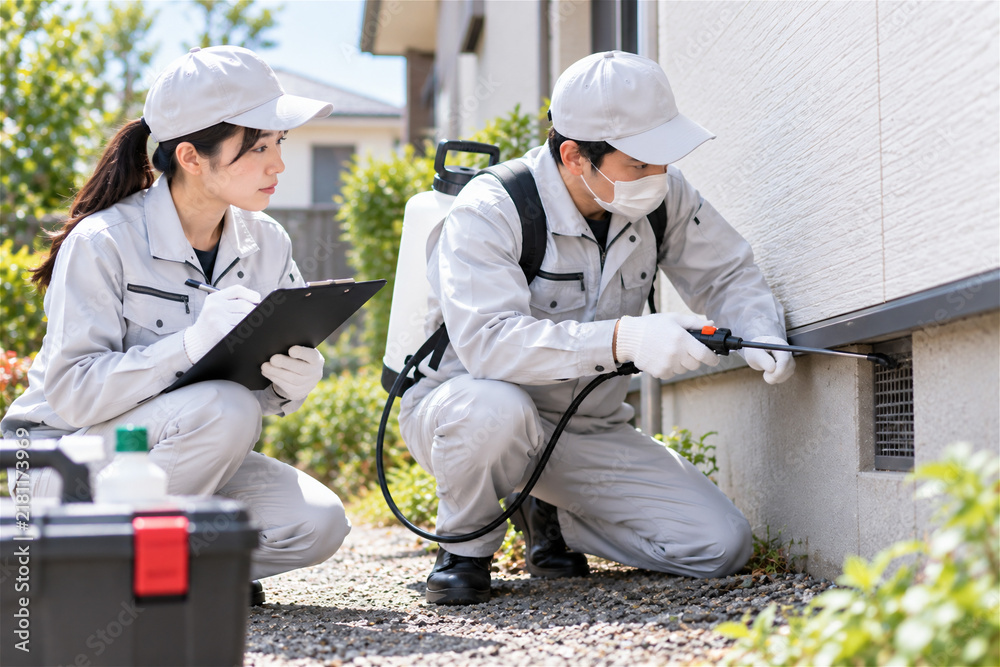 Obraz premium 害虫駆除・住宅外周の薬剤散布