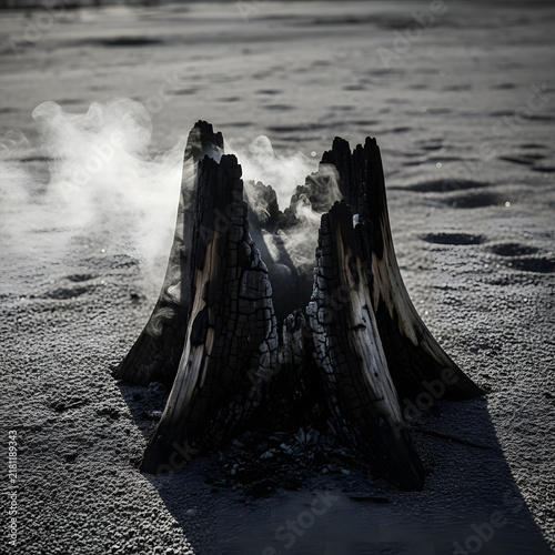 Smoldering Tree Stump Emitting Wisps of Smoke on a Desolate Sandy Shoreline at Dawn