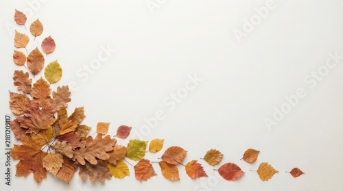 Autumn leaves arranged in a corner frame on a white background fall season foliage
