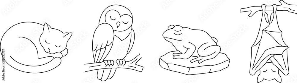 Fototapeta premium A collection of four sleeping animals including a cat owl frog and bat.