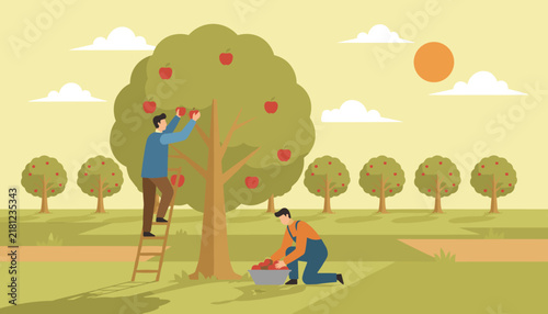 Hardworking farmers harvesting ripe red apples from a large tree in a sunny orchard while using ladder and basket during the autumn season.