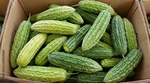 Obraz na płótnie Fresh green bitter melons in a cardboard box at a market