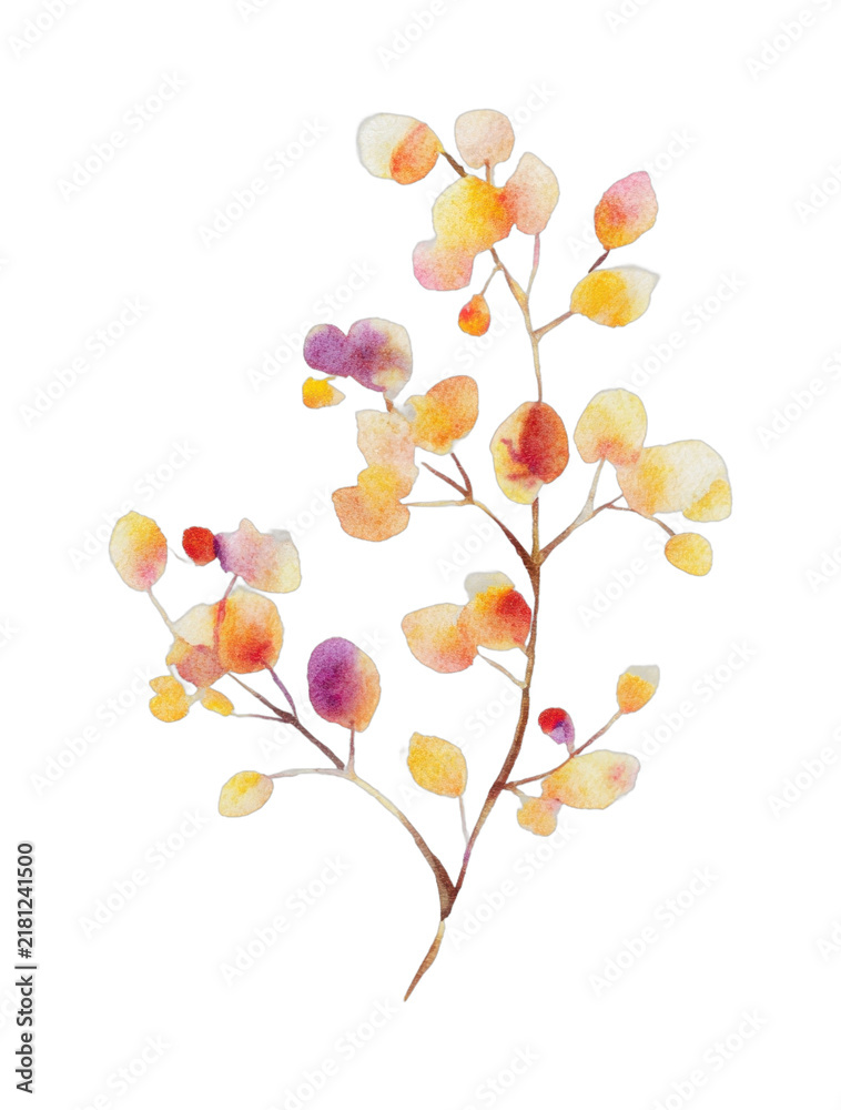 Obraz premium PNG Watercolor autumn branch with colorful leaves.