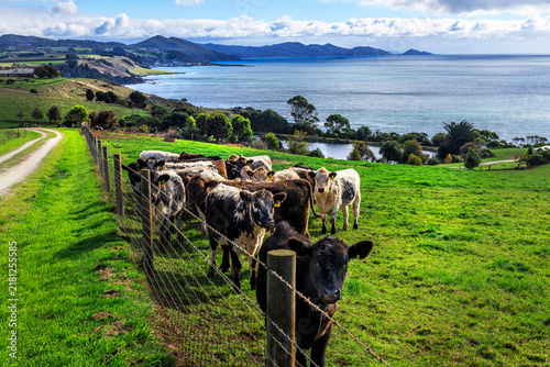 View west from Table Cape, Wynyard, Tasmania, Australia