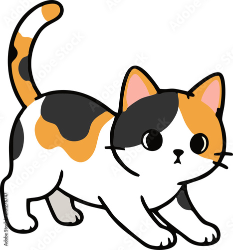 Cute Cat
