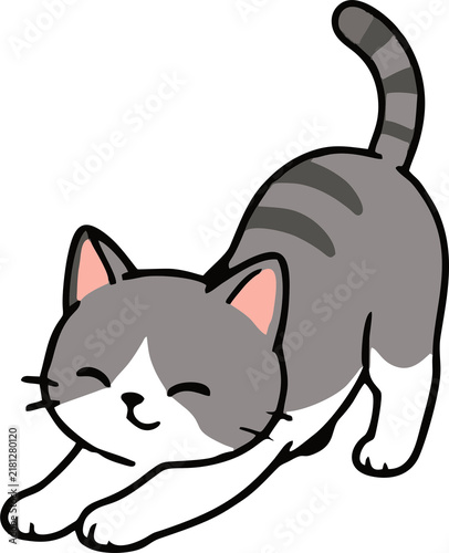 Cute Cat