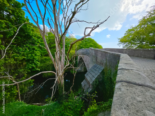 Fotografie historic Brig o' Balgownie, a 13th-century single-arch medieval bridge spanning
