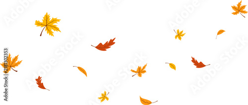 Falling Autumn Leaves Illustration