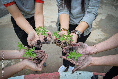 Group of People Holding Young Plants