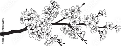 Black and white silhouette of a blooming cherry blossom branch sakura flower