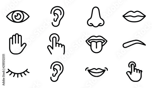 A collection of simple line drawings depicting various human sensory organs and body parts including eyes ears and hands