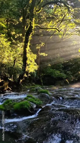 夏でも涼しい菊池渓谷
