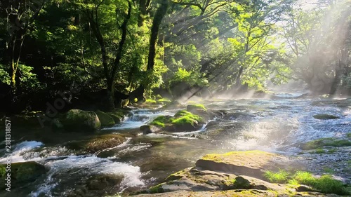夏でも涼しい菊池渓谷
