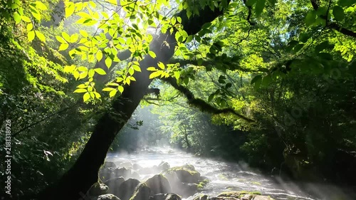 夏でも涼しい菊池渓谷