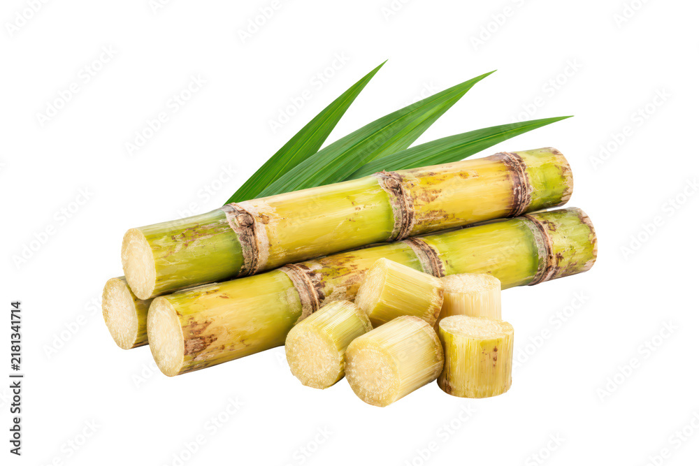 Obraz premium Fresh sugarcane stalks with cut pieces and green leaves isolated on a white background, showcasing juicy fibrous stems and natural tropical agricultural produce.