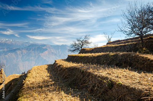 Photography Beautiful layered faming on the mountains in Chamba, Himachal Pradesh