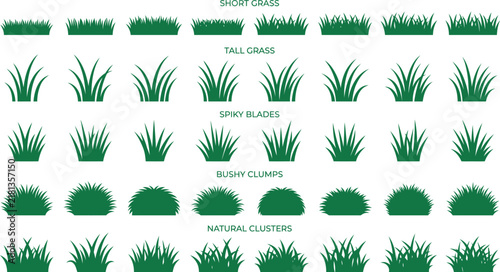 Grass clump tall blade bush field nature plant lawn green vector illustration icon set flat natural botanical design