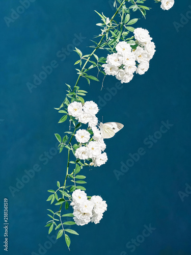 bouquet of flowers