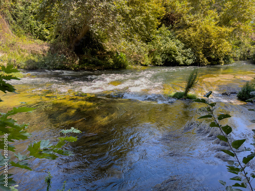 Scenic river with autumn vegetation