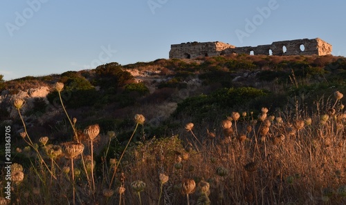 spring in the mountains
Cagliari
Sardegna sardinia 
Italia italy 