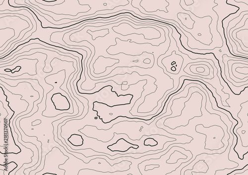 Höhenlinien Ringe Schwarzgrün & Altrosa