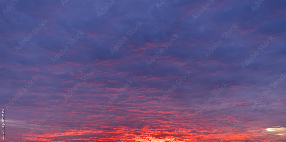 Fototapeta premium Vibrant sunset sky with fiery orange clouds and blue gradient,A wide-angle view of a dramatic sunset sky filled with glowing orange and yellow wispy clouds transitioning into deep purple and blue.