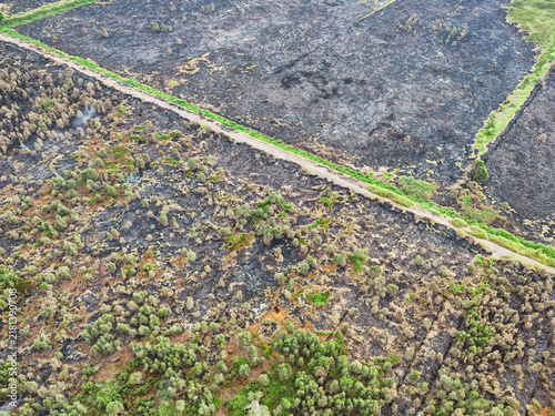 Aerial view of burnt peatland vegetation with charred trees and green patches separated by a drainage ditch in Indonesia.