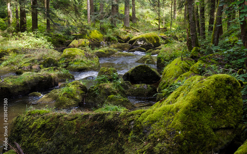 The Power of Water _ A Natural Gem in Northern Lower Austria