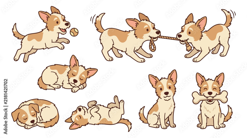 Obraz premium Cute chihuahua puppy characters set with playing sleeping and sitting poses vector illustration