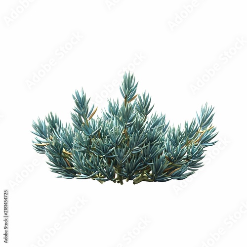 bush isolated on white background, 3D illustration, cg render