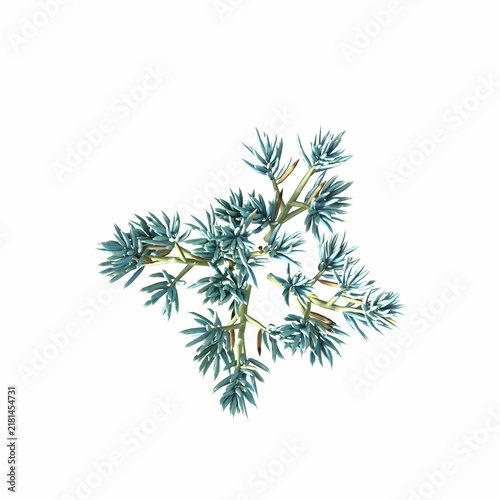 bush isolated on white background, 3D illustration, cg render