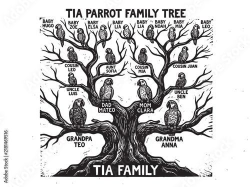 Bild auf Leinwand Vintage hand-drawn parrot family tree illustration