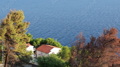 Coastal houses beside calm blue sea and scorched trees at sunset