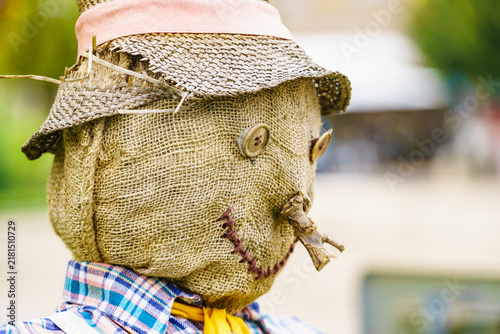 Cuadro en lienzo Happy doll for garden decoration.
