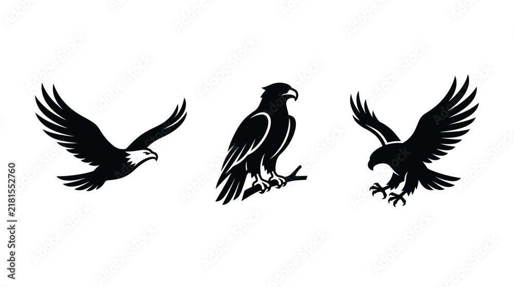 Fototapeta premium Set of three black eagle silhouettes in different poses