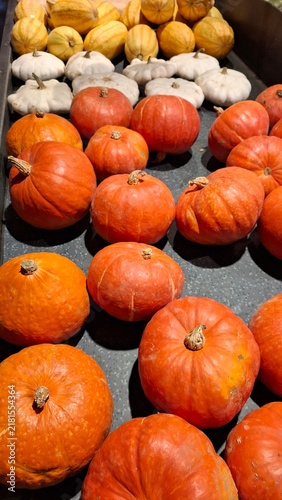 Assorted pumpkins and winter squash on display at a market