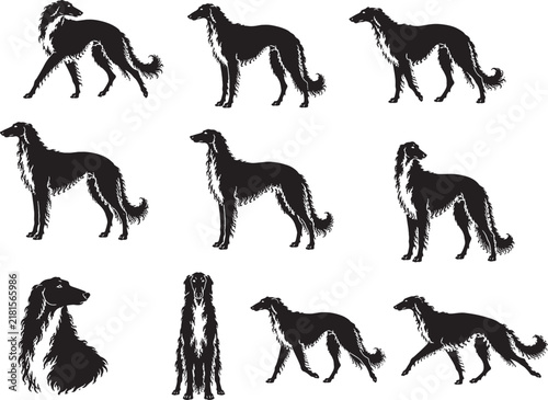 Borzoi Dog Silhouette Set Premium Purebred Russian Wolfhound Black Vector