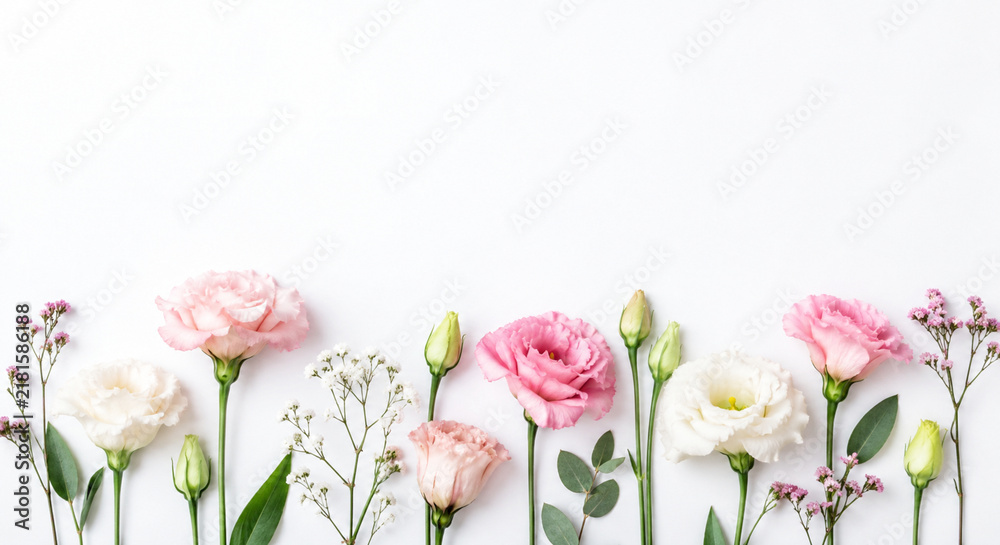 Obraz premium Zarte rosa und weiße Blumen mit grünen Stielen auf weißem Hintergrund