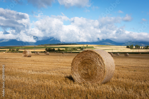 A bale of straw in a field and the Tatra Mountains behind the clouds in Slovakia